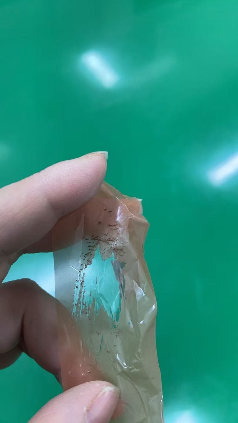 棕色PET膠帶