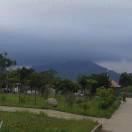 AA誠(chéng)信為本雙面膠